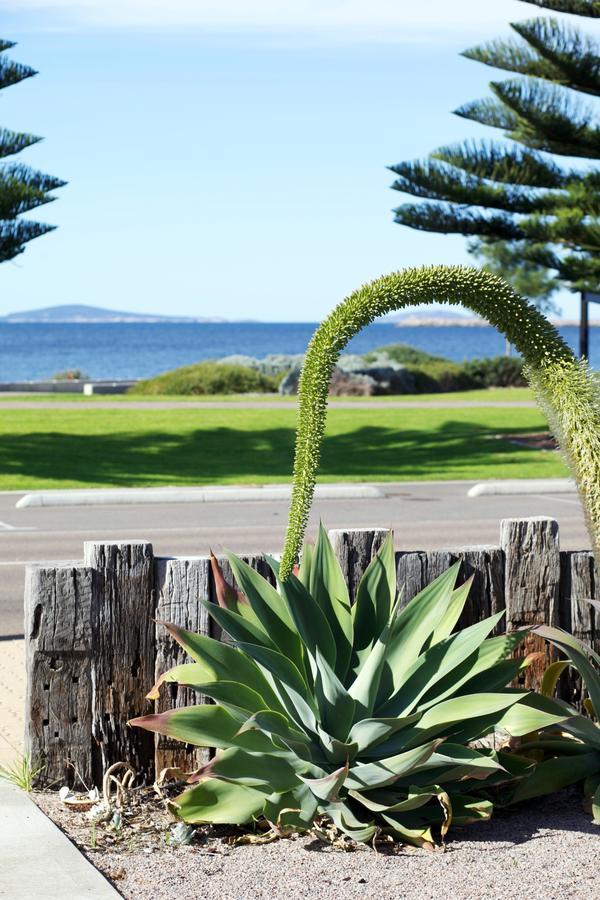Esperance Island View Apartments Exterior foto